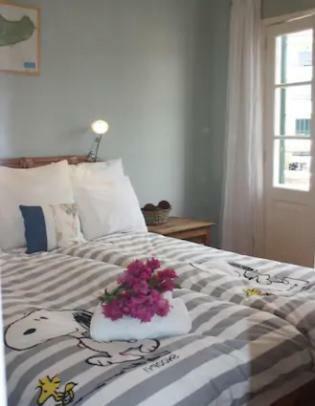 شقة Old Town Penthouse - Barreirinha فونشال المظهر الخارجي الصورة